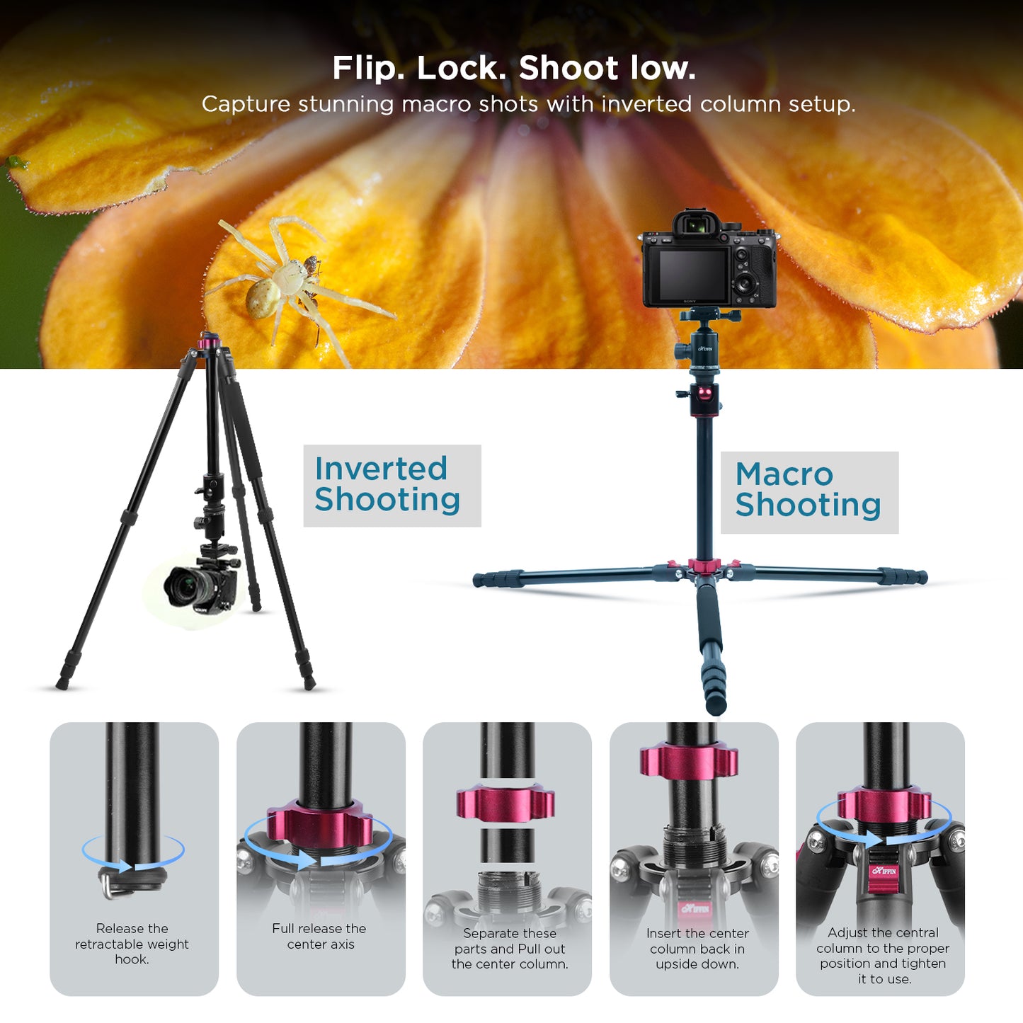 HF-550 1.651M (65") Camera Tripod for Canon Nikon DSLR, Aluminum Alloy