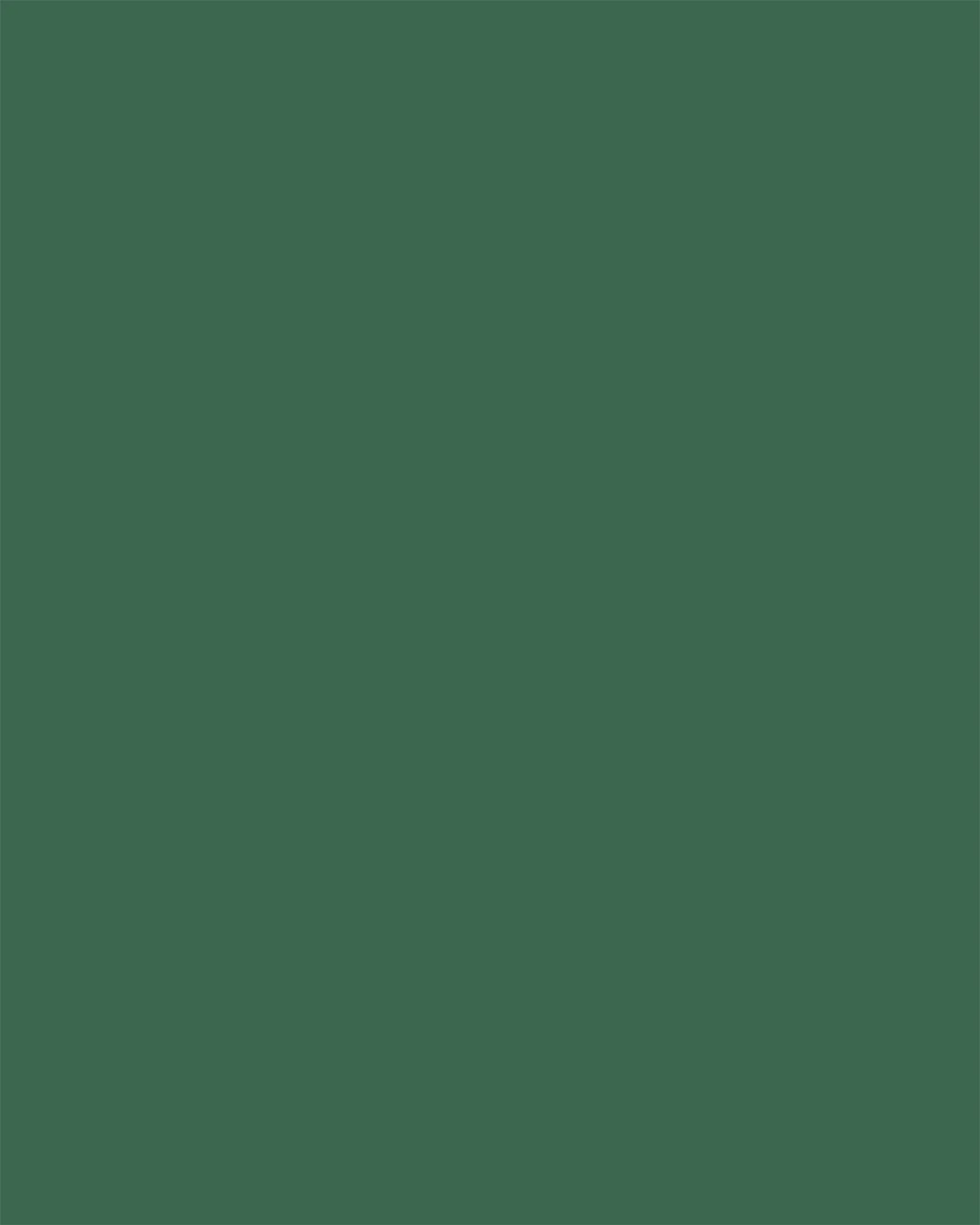 HIFFIN Paper Backdrop For Photography (9X36 Feet)