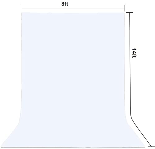 HIFFIN® White Screen Backdrop 6x10 ft with Stand  6x9FT Photography Backdrop with 1PC 6.5FT T-Shape Backdrop Stands, 2PCs Spring Clamps, 1PCs Carry Bag