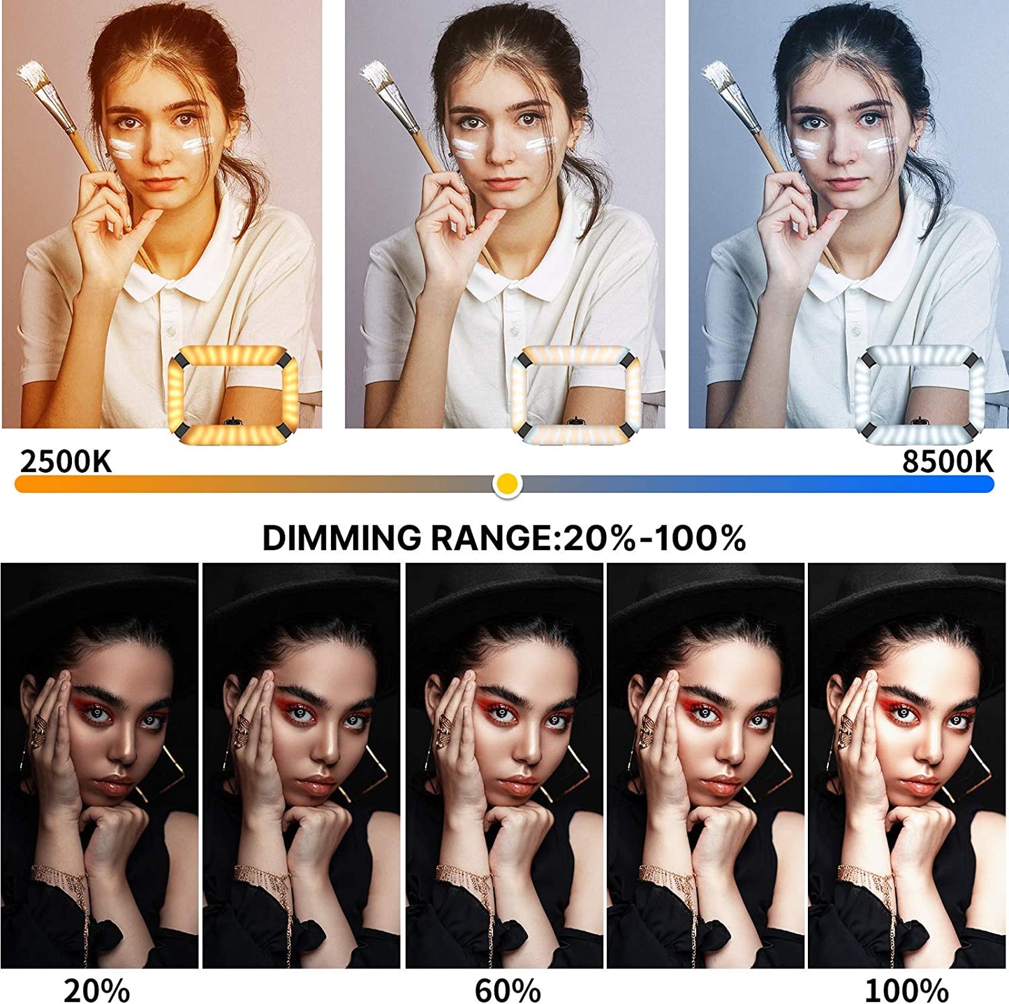 Ulanzi U200 Ring Light Video Rig