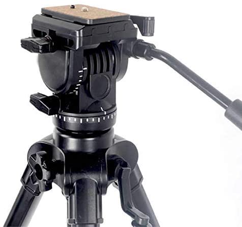 Hiffin Quick Release Base Tripod Plate for hf 880 Tripod for Video Still Photography Shooting Purpose (Black) (880 Quick Release Plate)